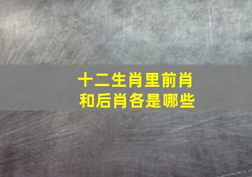 十二生肖里前肖 和后肖各是哪些